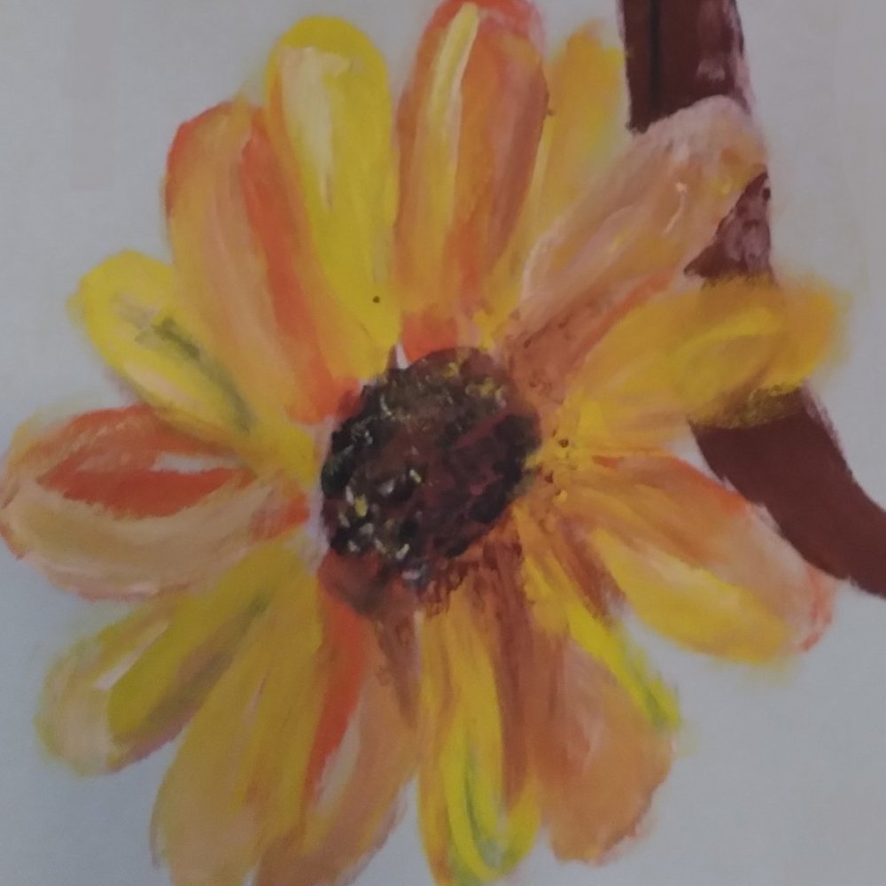 Baby Deals Every Day